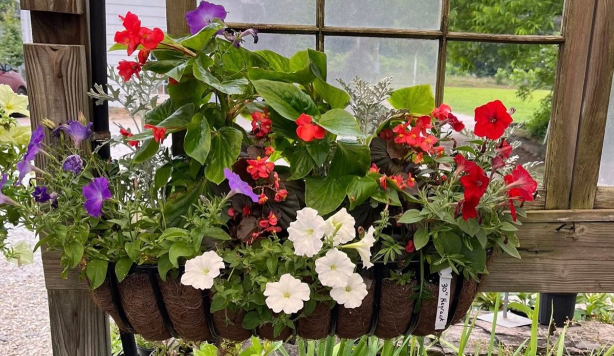 Custom container plantings and arrangements created at Doris Greenhouse in Greenwood, SC